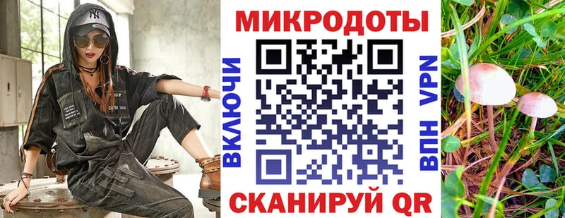 Псилоцибиновые грибы Psilocybe Богородск